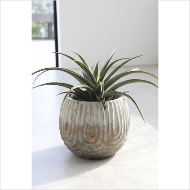 レーヌツートン・ラウンドポット