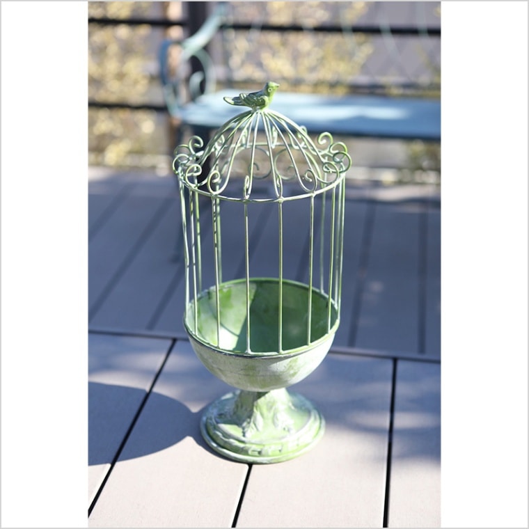 アンティーク風プランツゲージ アンティーク風プランツゲージ アンティーク風プランツゲージ