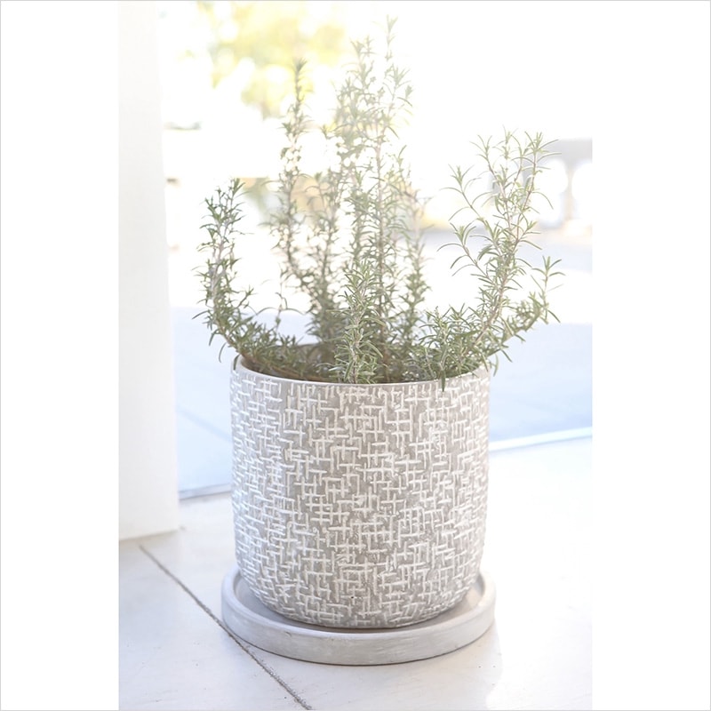 プレド・シリンダーポット L