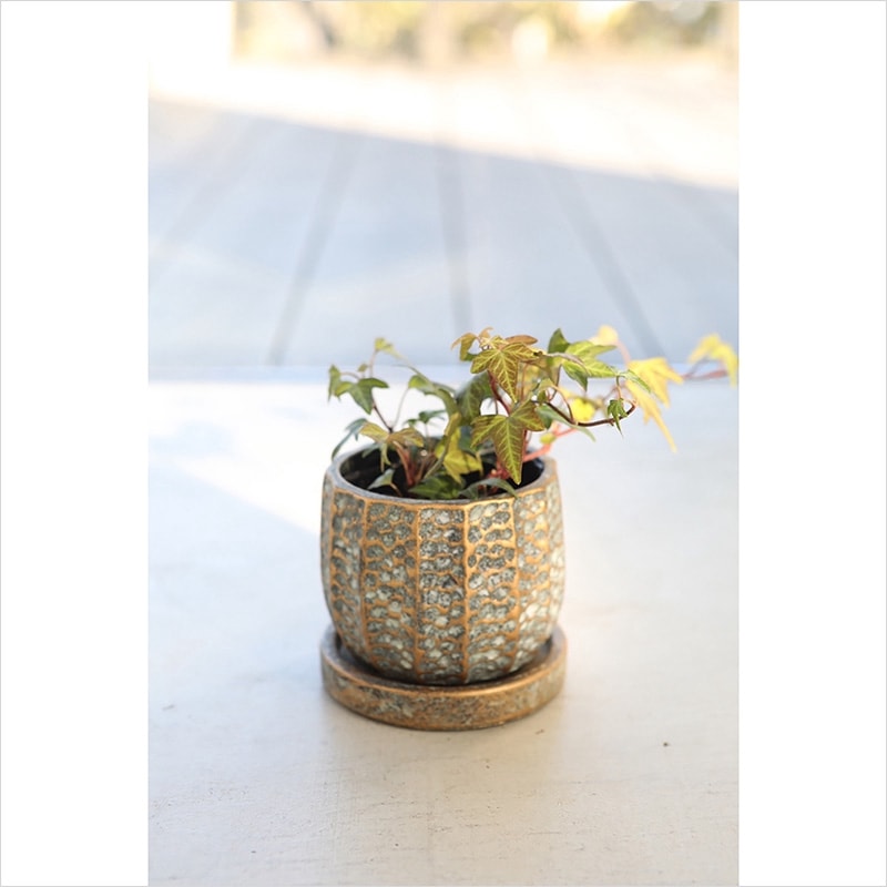 メロネ・ラウンドポット S