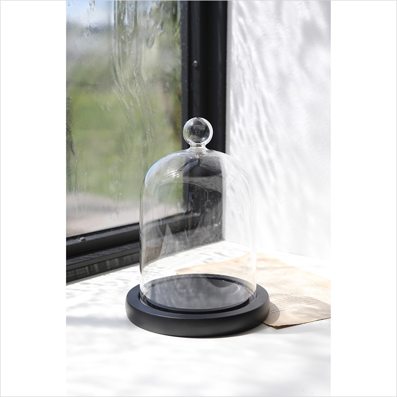 ブラックウッドベース・ガラステックドーム | ALL（全ての商品