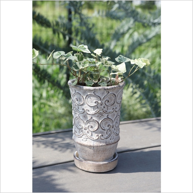 がーべらページ　3号鉢　ちょこん札付きポットごと クララ・ポット S | 穴あり | COVENT GARDEN Bazaar Online Shop