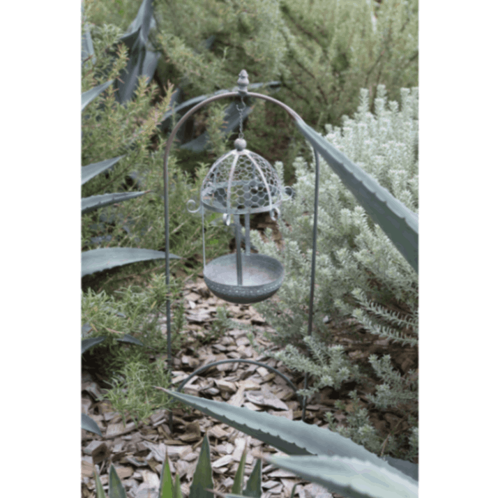 ケージ・アクセサリー ann ホワイトワイヤーケージ L (M,S) | プランツケージ | COVENT