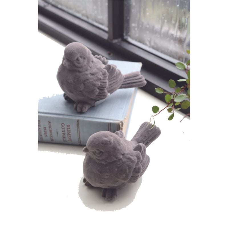 ツーディバード 2種アソート