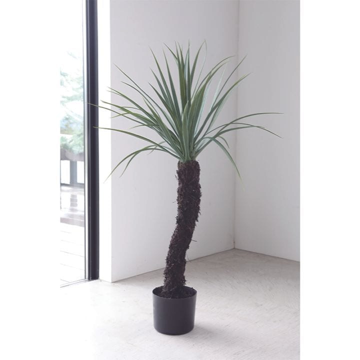 ユッカ・ロストルータ