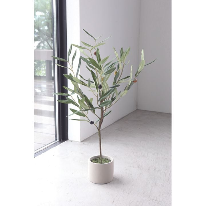 オリーブ・クラトン