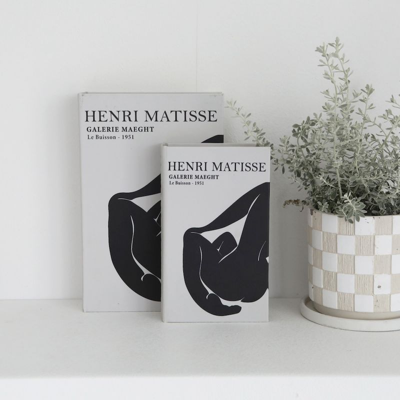 ヌード・アートボックスL (S)