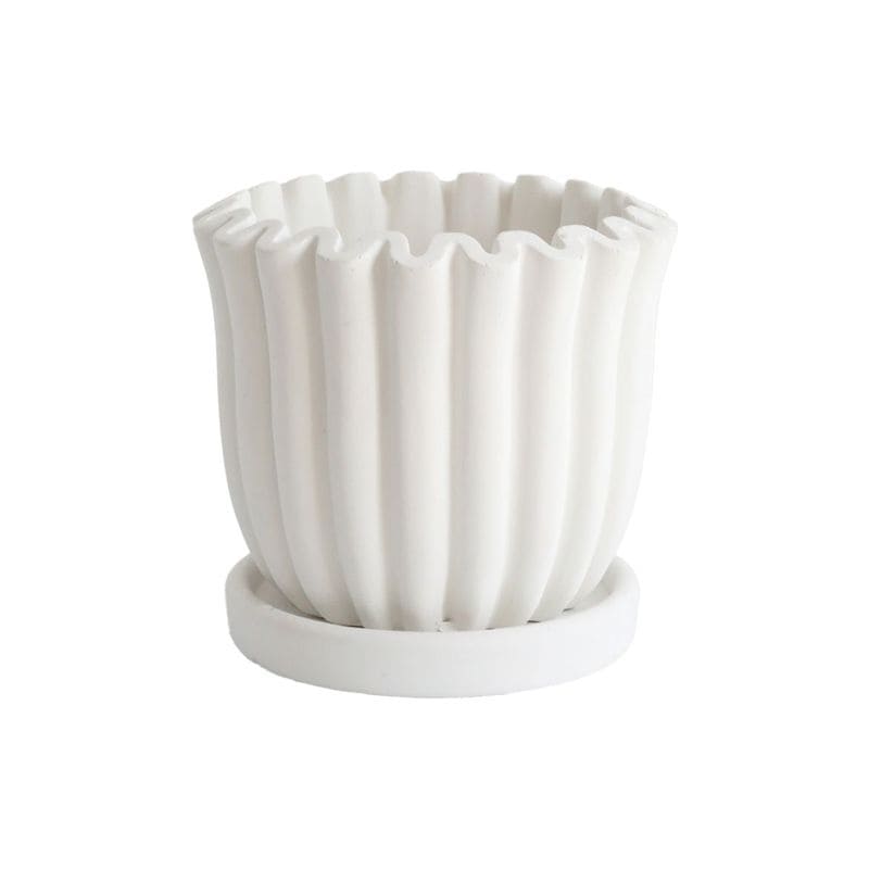 バラン・ホワイトポットS