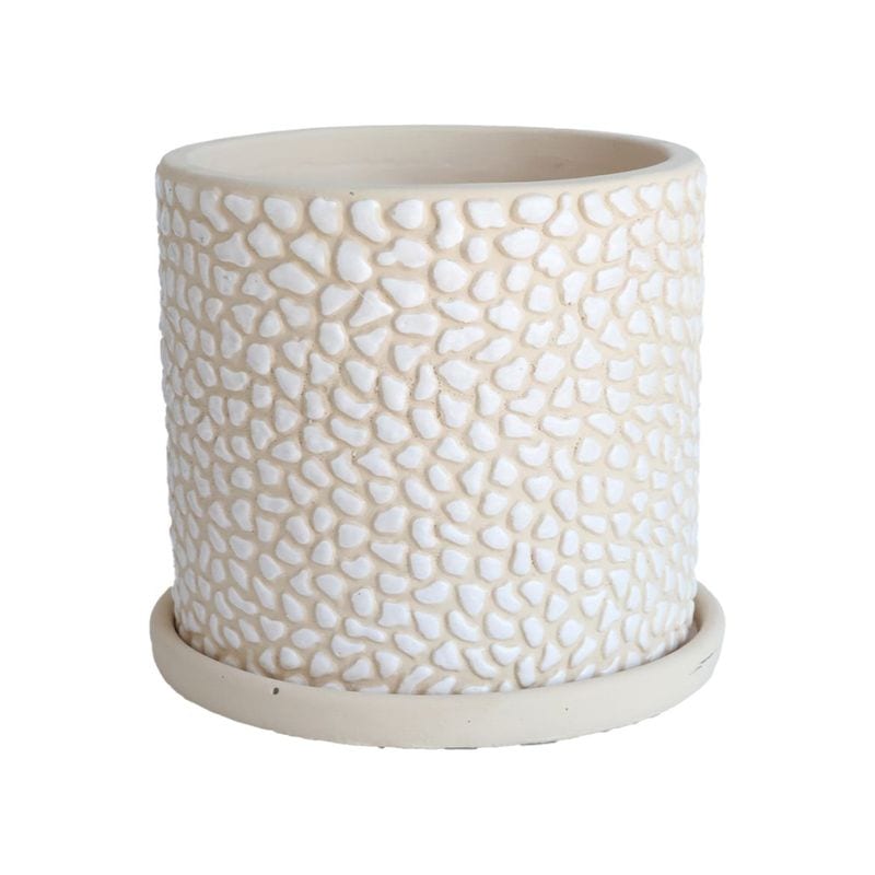 ドット・ベジュポット L