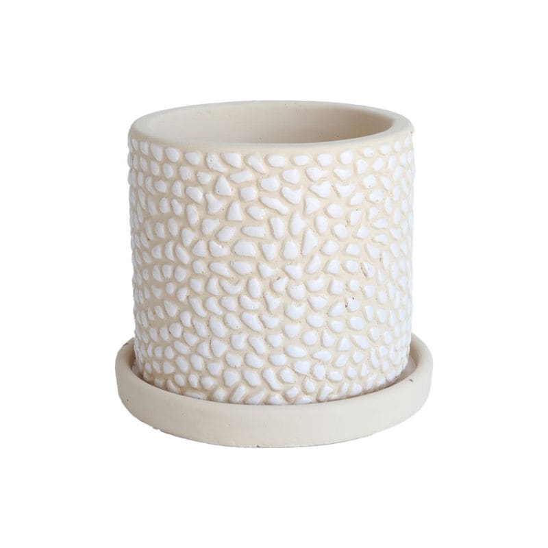 ドット・ベジュポットS