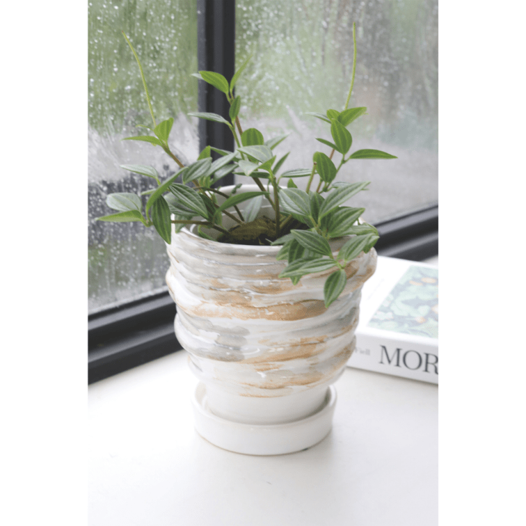 GARDEN,鉢・鉢カバー・ソーサー,穴あり | COVENT GARDEN Bazaar Online