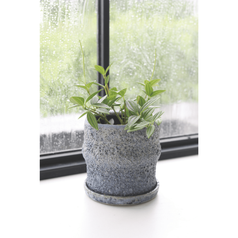 GARDEN,鉢・鉢カバー・ソーサー,穴あり | COVENT GARDEN Bazaar Online