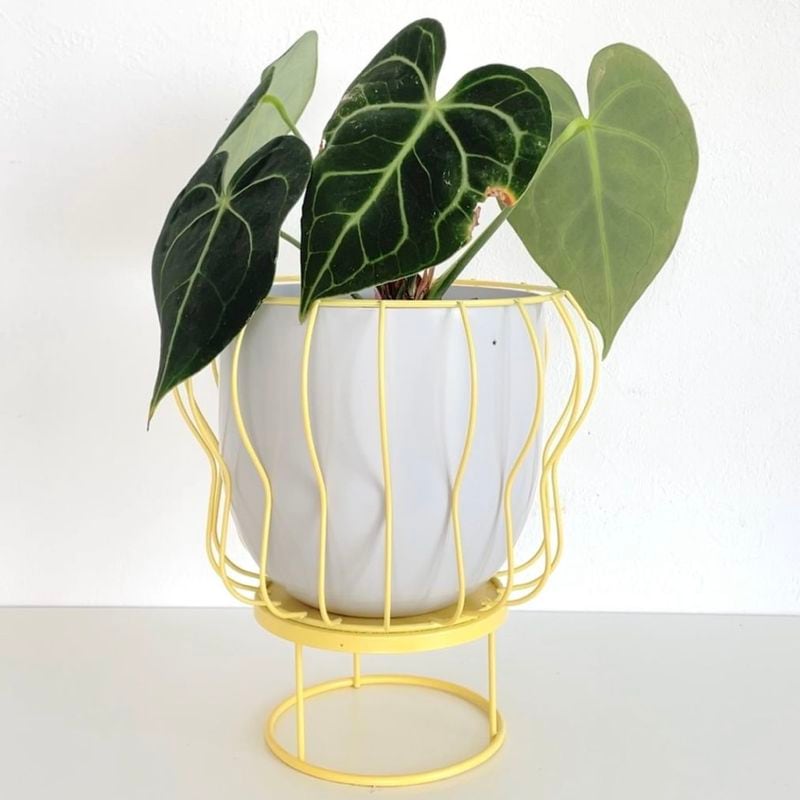 ワイヤー2WAYポット yellow