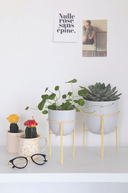 クライム・ロースタンドポット