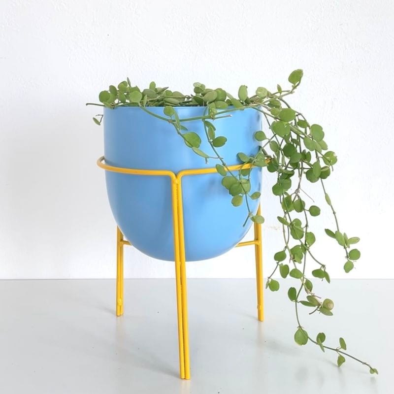 オータン・ロースタンドポット