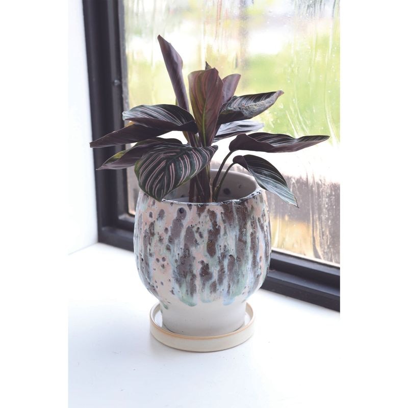 オーベルポット