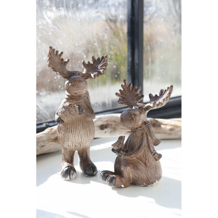 ウィンタ・アランラズ 2種アソート