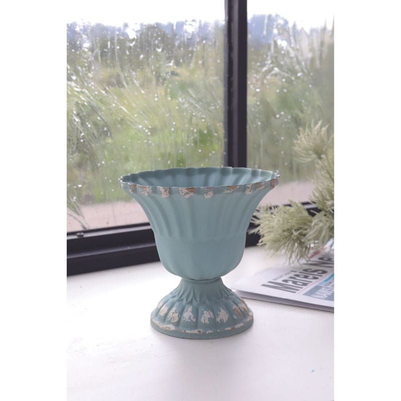 カプリ・カップベースＬ