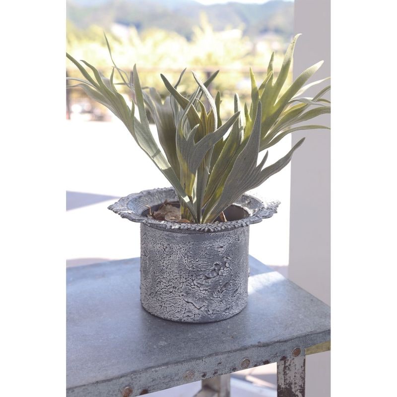 ハットベース・ランヴェールホワイト