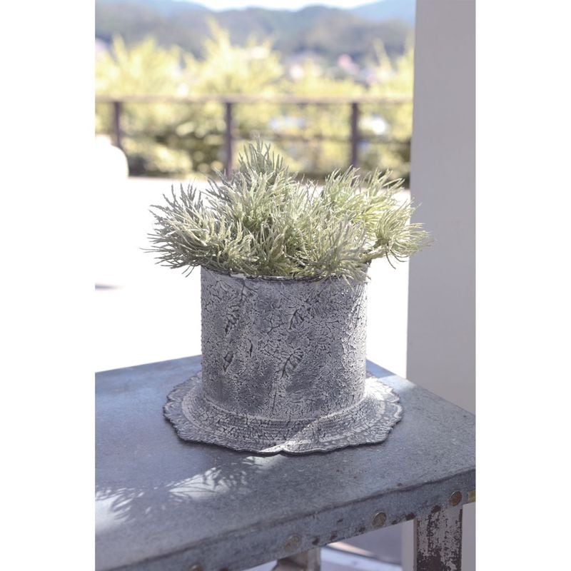 ハットベース・ヴィユーホワイト