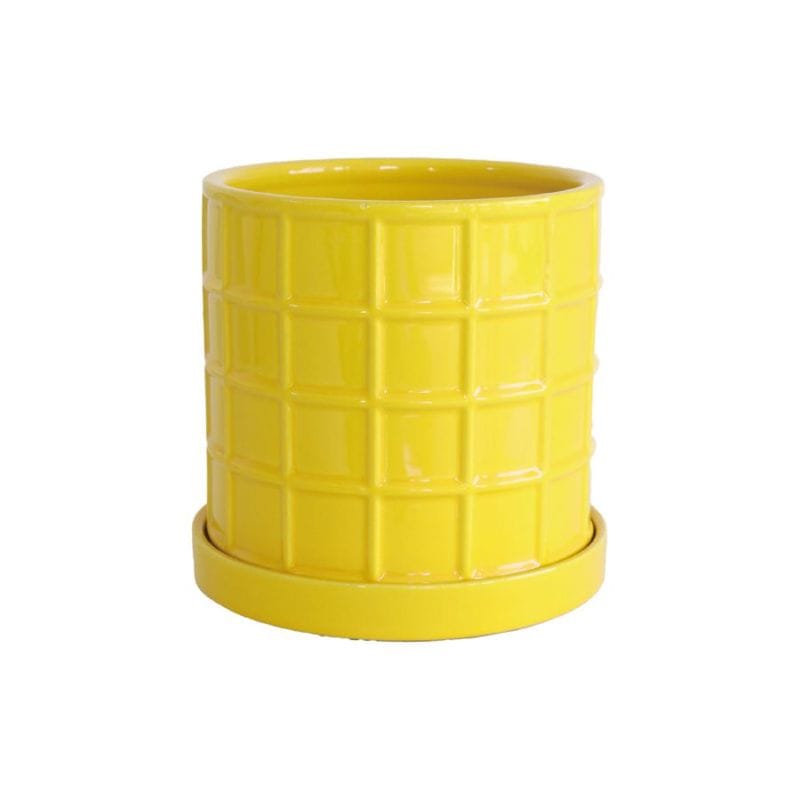 タイルポット・マイースＬ