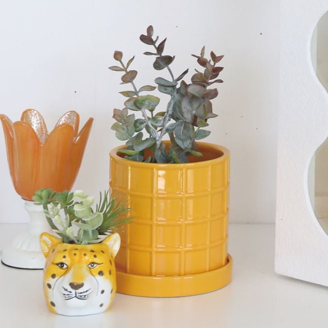 タイルポット・マイースＳ