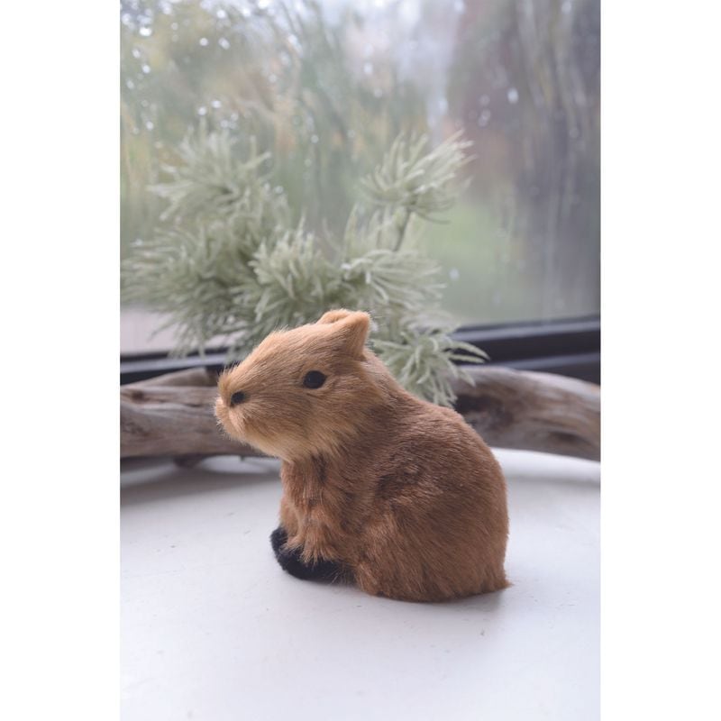 フラッフィ・カピバラベビー