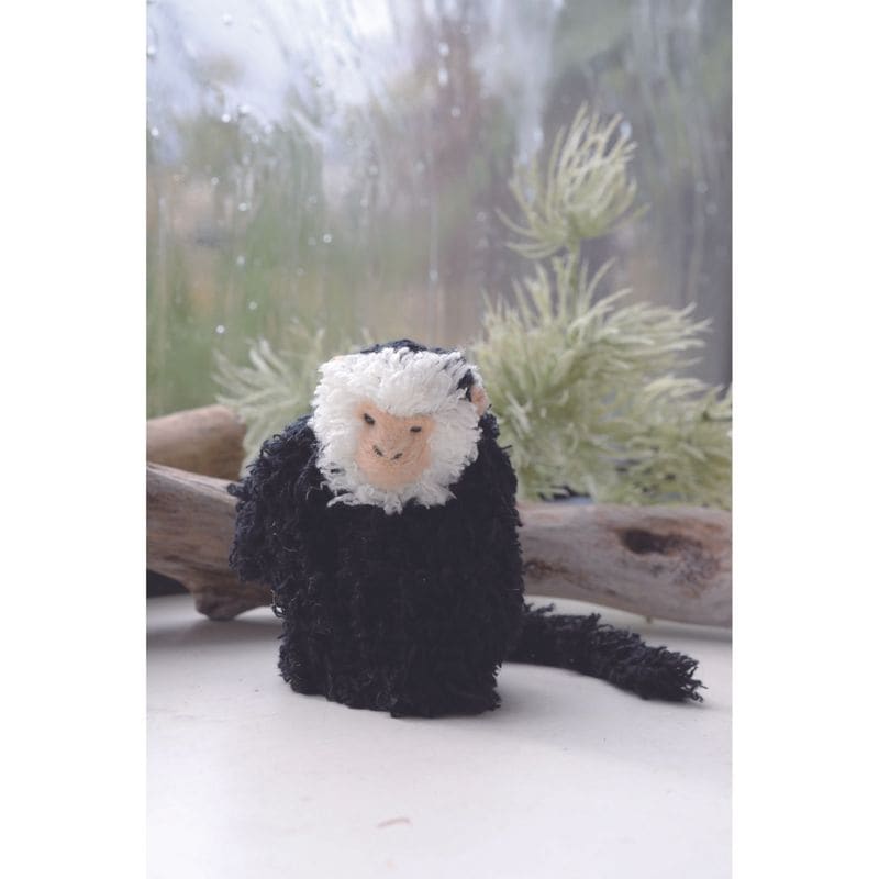 モンキー・セブス