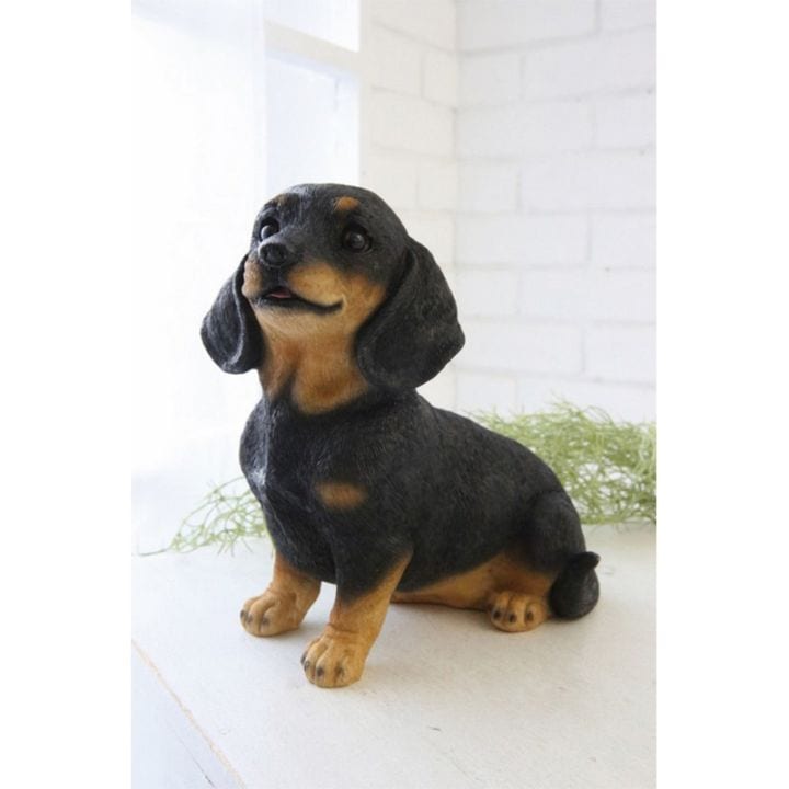 パピー・ダックス