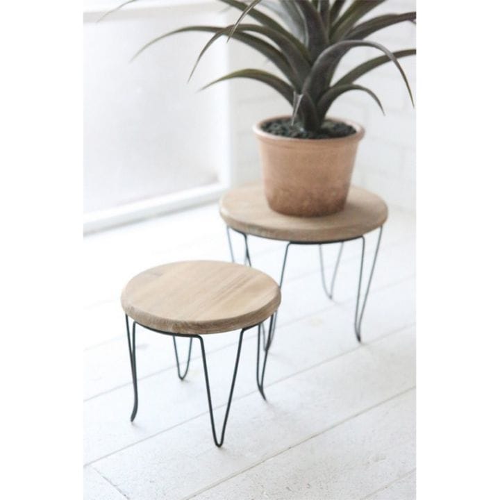 ファングレッグ・スタンドセット