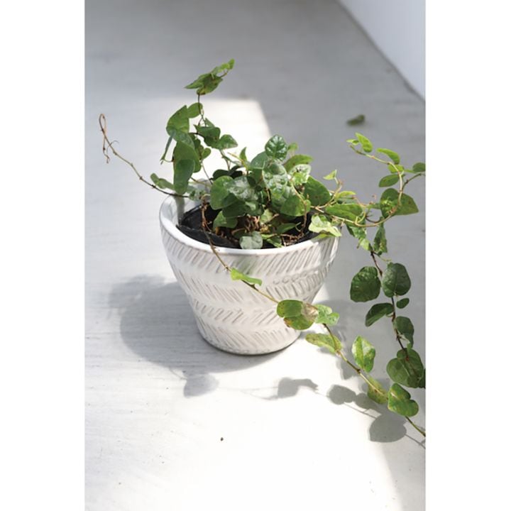 スレンテ・ラウンドポット S