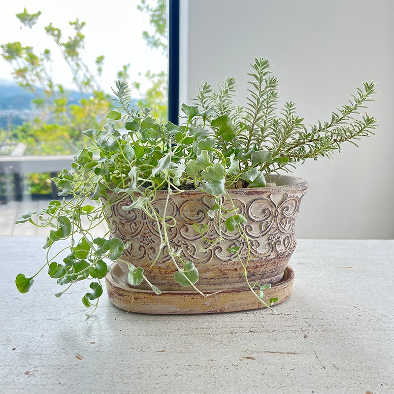 クララ・オーバルポット S | 穴あり | COVENT GARDEN Bazaar Online Shop