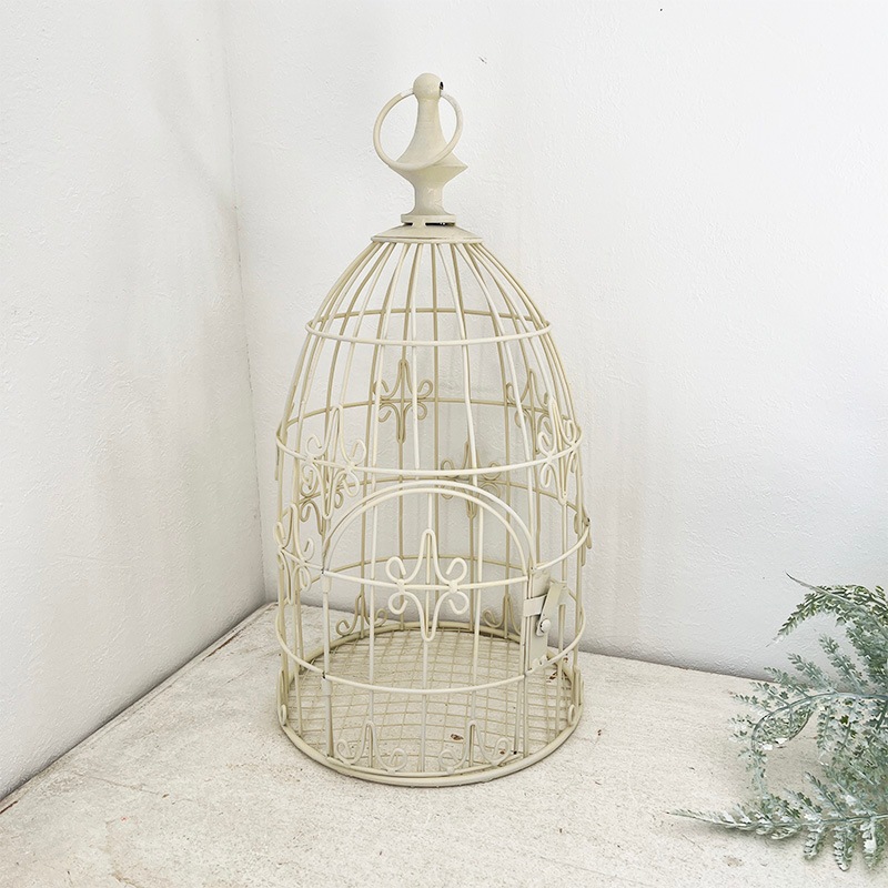 ブランシェ・プランツケージ | プランツケージ | COVENT GARDEN Bazaar