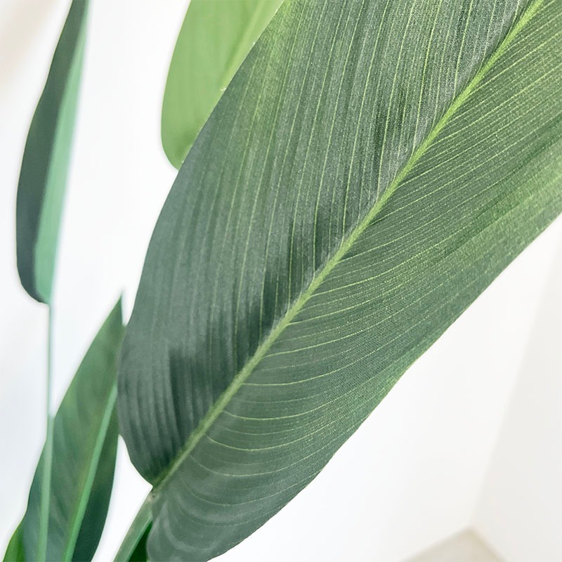 ストレリチア | フェイクグリーン（造花・リース） | COVENT GARDEN