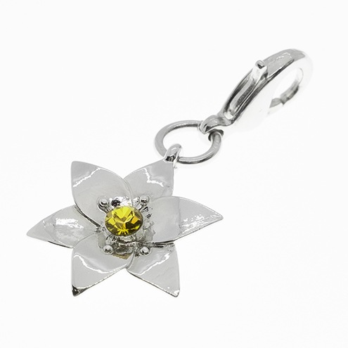 ���㡼���ver.�������ʥ� �ݥ����å����