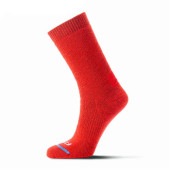 (FITS)�ե��å� �ߥǥ�����ϥ��������롼 (�����) ��å� L