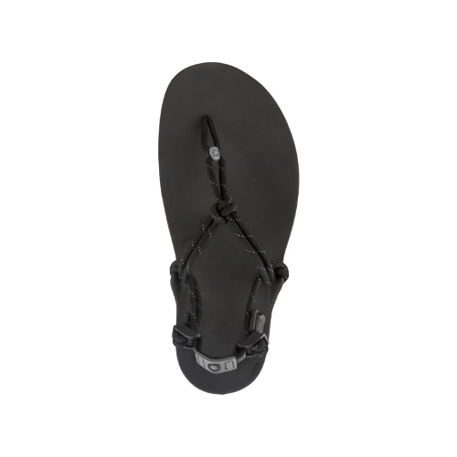 (XEROSHOES)�������塼�� �����ͥ��� (�֥�å�)