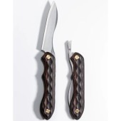 (FEDECA)�ե��ǥ� �޾��������ʥ��� (̾������)