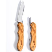 (FEDECA)�ե��ǥ� �޾��������ʥ��� (�ץ졼�󥪥꡼��)