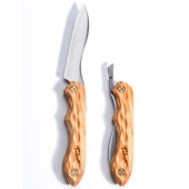 (FEDECA)�ե��ǥ� �޾��������ʥ��� (̾�����꡼��)