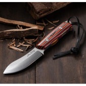 (FEDECA)�ե��ǥ� �֥å��奯��եȥʥ��� (�ޥ�����顼)