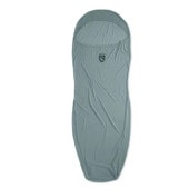 (NEMO)�ˡ��� Tracer �ȥ졼���� Reg 2026