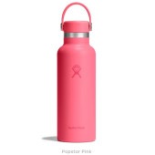 (Hydro Flask)�ϥ��ɥ��ե饹�� HYDRATION 18oz STANDARD MOUTH (PopstarPink)