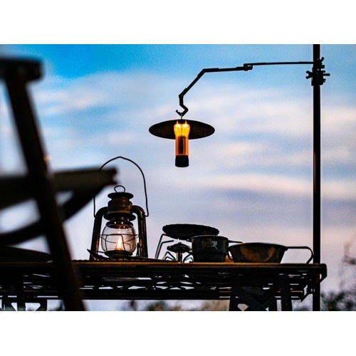 (Nature-tones)�ͥ����㡼�ȡ��� ��THE CLINGING HANGER�ۥ���󥮥󥰥ϥ󥬡� (���ƥ�֥�å� )