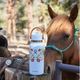 (Hydro Flask)�ϥ��ɥ��ե饹�� OUT WEST 32oz WIDE FLEX STRAW CAP (WesternLightBlue)