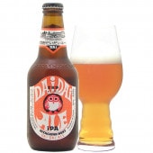 常陸野ネスト だいだいエール