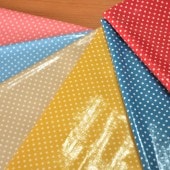 ���� ����������ߥ͡��ȡʥɥåȡˢ��߸˸¤������ͽ��̵��