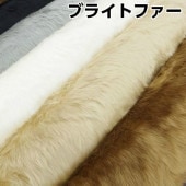 òʬ ֥饤ȥեʳݥ/ݥоݳ