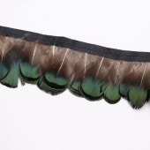 ���֥졼�ɡ�DY38-6�� (50cmñ��)