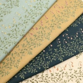 ���� ���㥷�����󥰡ʥ��ե꡼�ù��˲���